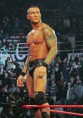 orton back